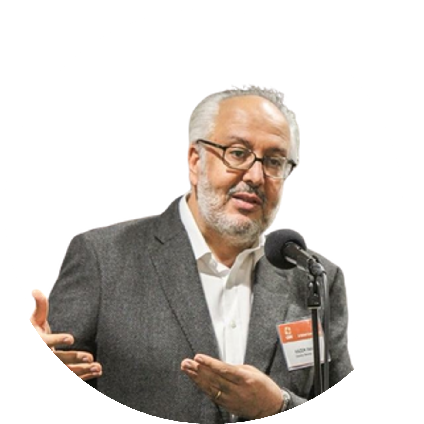 Hazem Fahmy